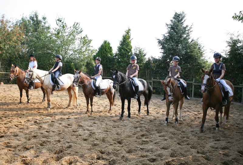 Reitschülerinnen und Reitschüler mit ihren Ponys nebeneinander auf dem Außenplatz