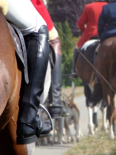 Nahaufnahme von Reitstiefel und Steigbügel, dahinter Reiter im roten Jagdrock