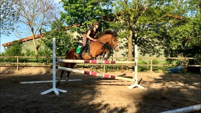 Reiterin springt mit einem Braunen über einen Steilsprung auf dem Außenplatz