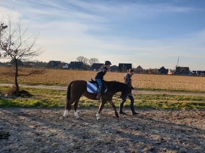 Kind reitet auf einem Pony am Feldrand, eine Begleiterin geht nebenher