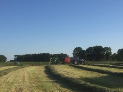 Heuschwaden auf der gemähten Wiese, im Hintergrund Traktor mit Ballenpresse