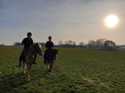 Zwei Reiter auf einer Wiese im Gegenlicht der tief stehenden Sonne
