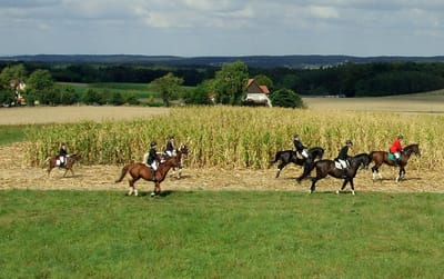 Reitergruppe galoppiert an einem Maisfeld entlang, dahinter weite Landschaft